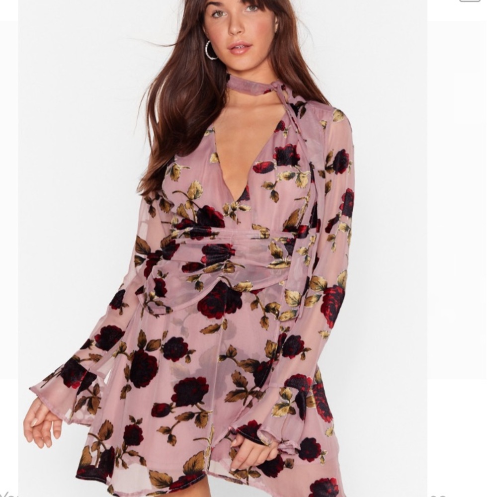 NWT Nasty Gal Rose Dress